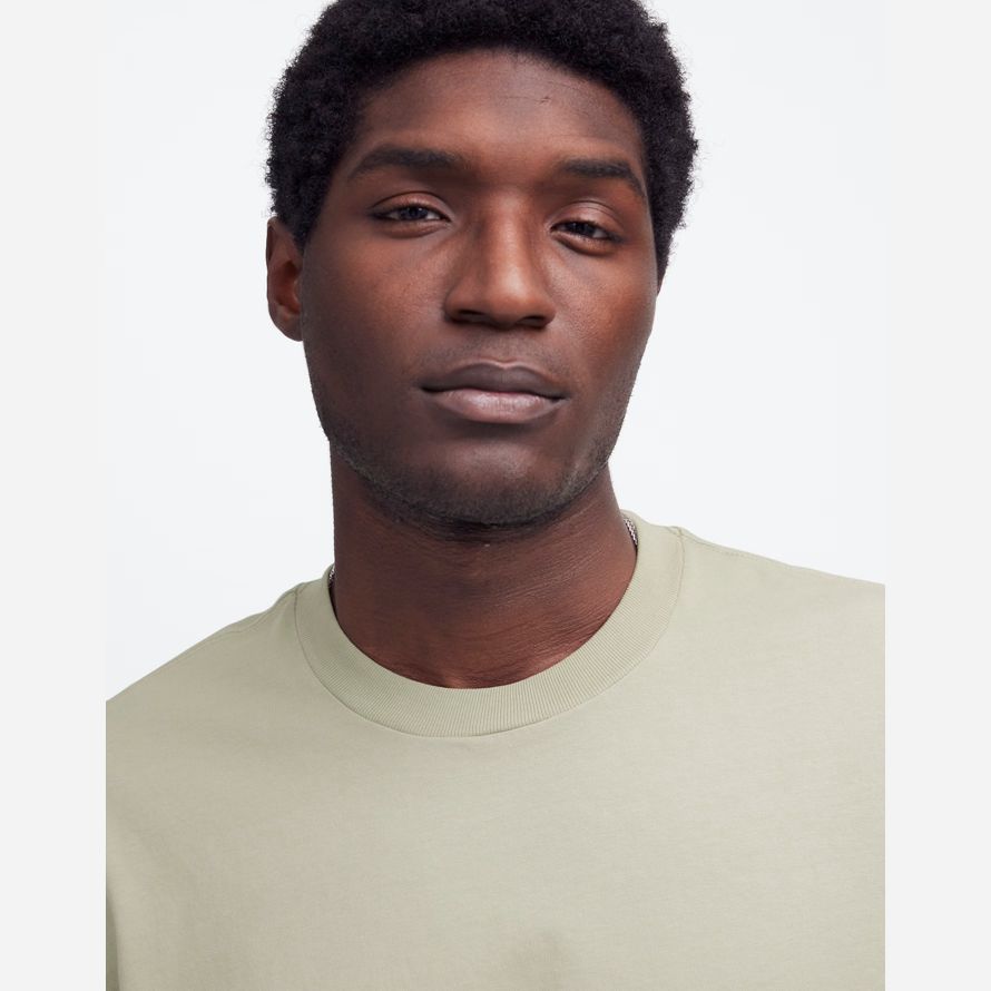 madewell die vintage-herren-t-shirts licht grün